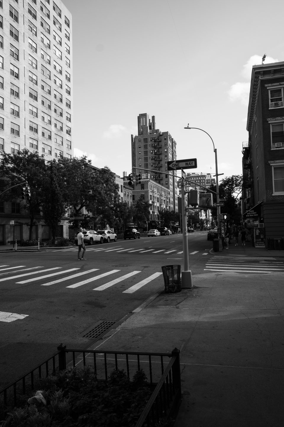 A quiet city intersection framed by trees and apartment buildings
